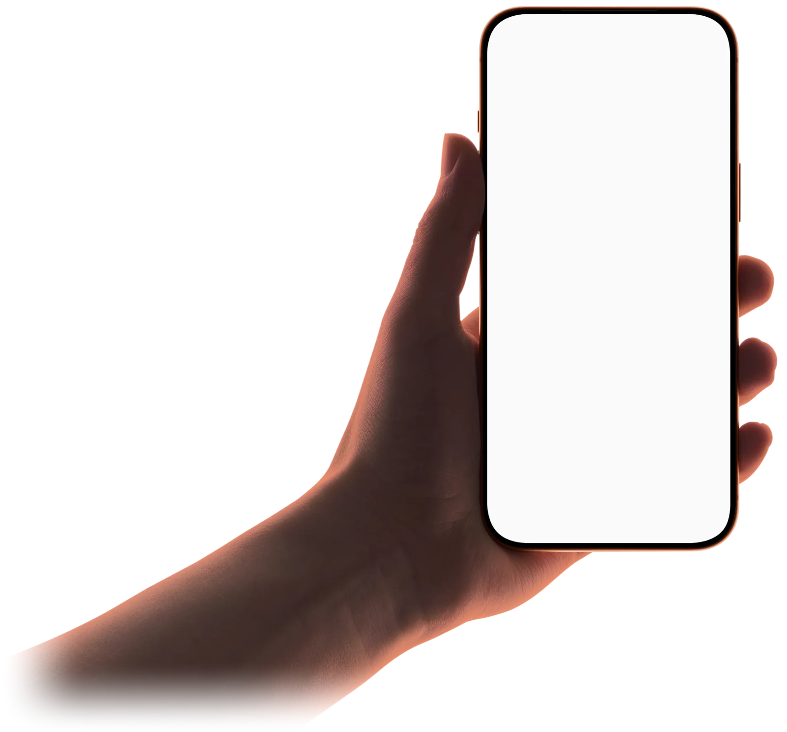 The Saashi app on an iPhone, held in hand